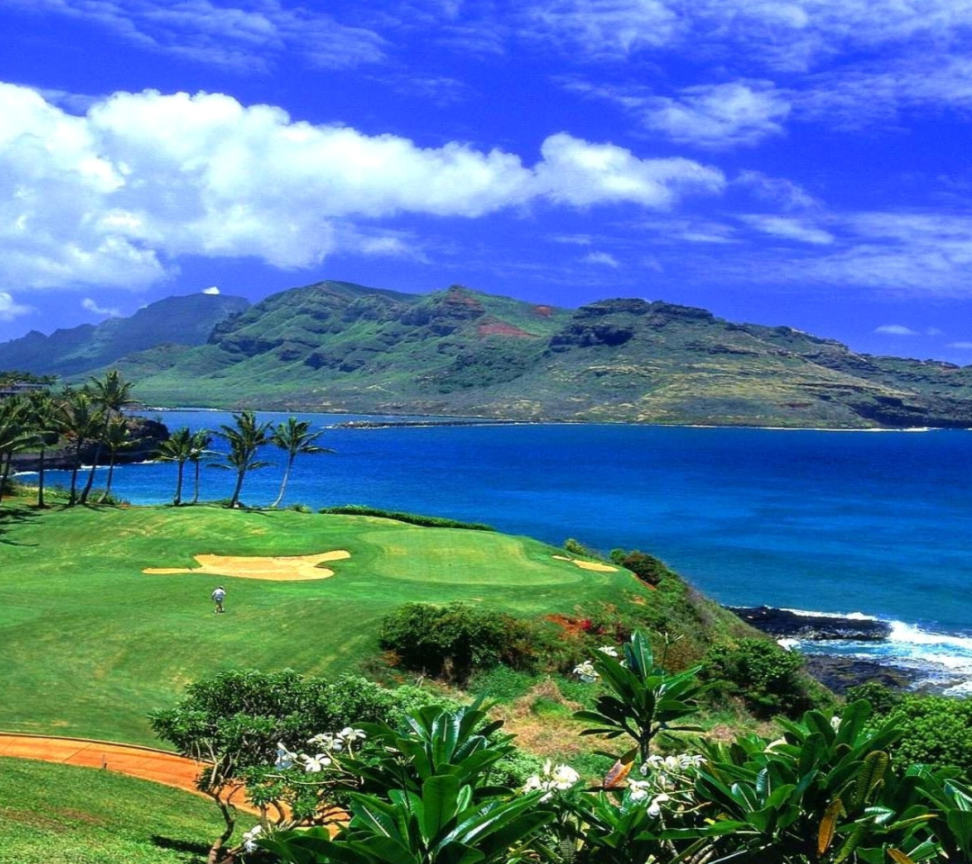 Das Paradise Golf Field Wallpaper 1080x960