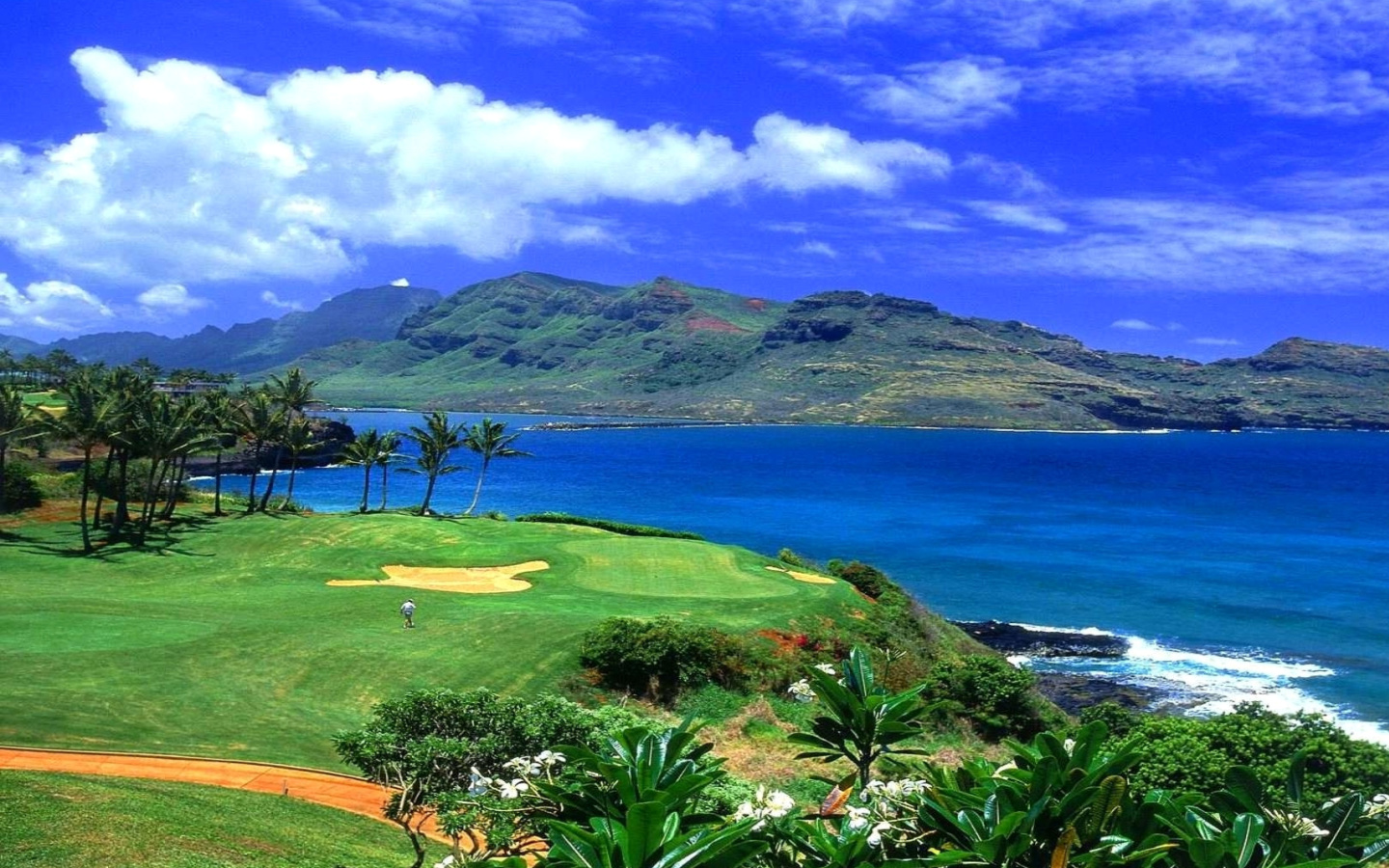 Обои Paradise Golf Field 1440x900