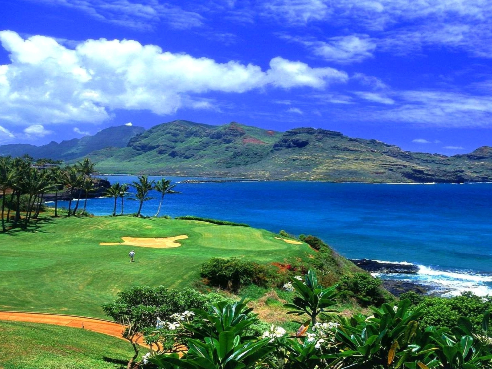 Fondo de pantalla Paradise Golf Field 1600x1200