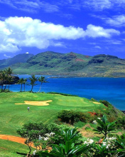 Fondo de pantalla Paradise Golf Field 176x220