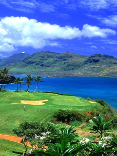 Paradise Golf Field screenshot #1 240x320