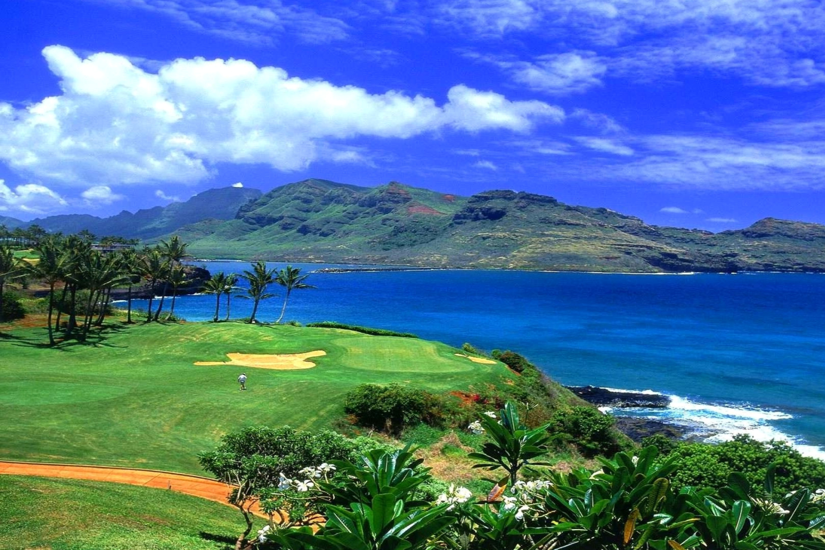 Screenshot №1 pro téma Paradise Golf Field 2880x1920