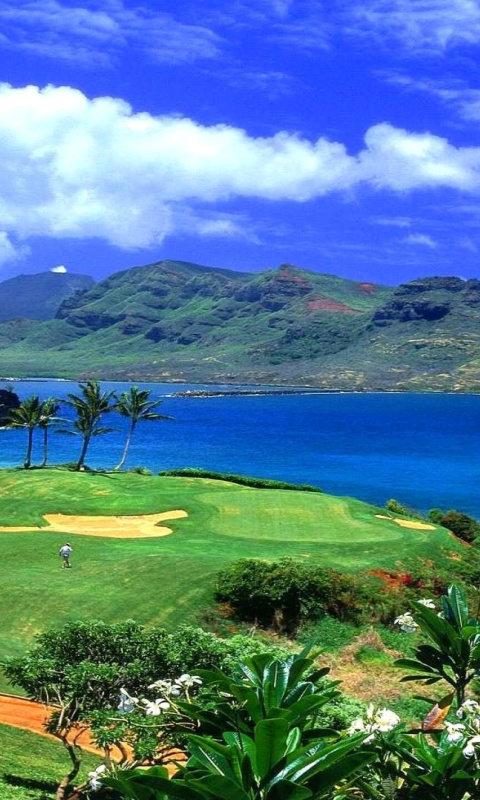 Paradise Golf Field screenshot #1 480x800