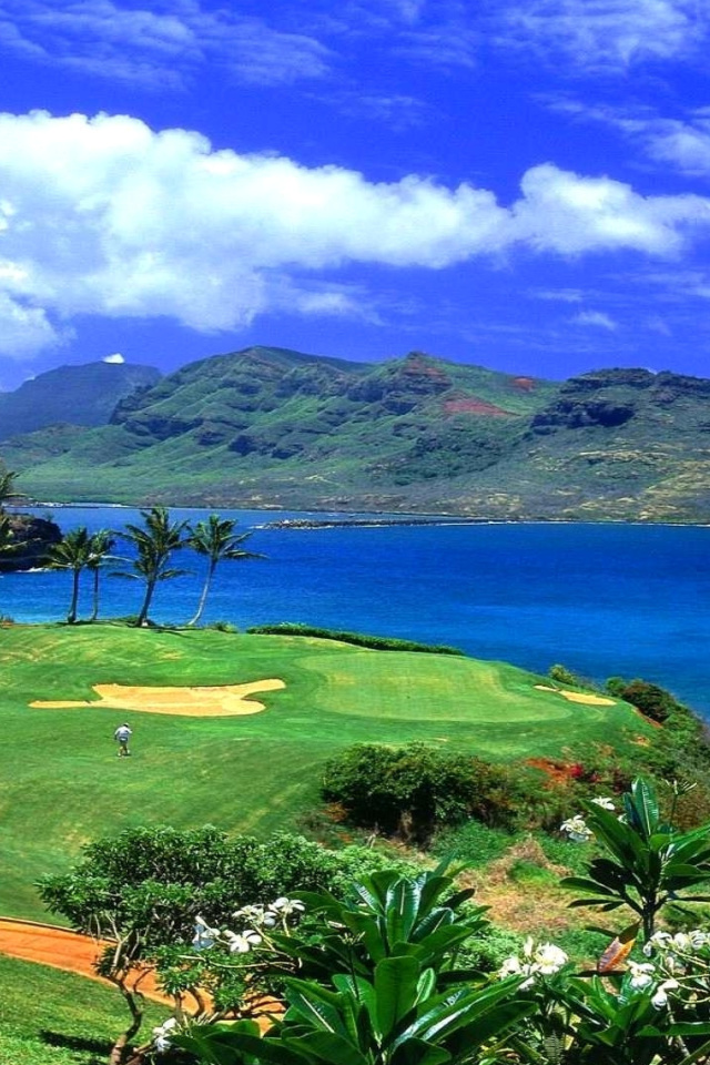 Paradise Golf Field screenshot #1 640x960