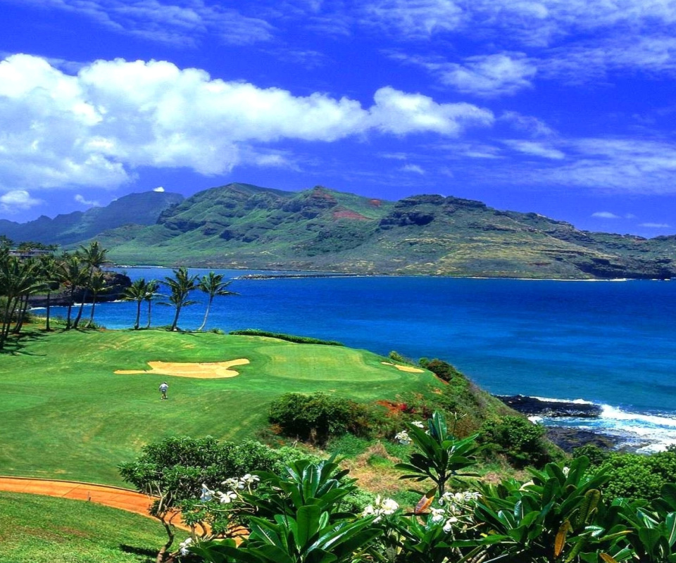 Fondo de pantalla Paradise Golf Field 960x800