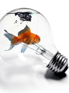 Screenshot №1 pro téma Fish In Light Bulb 240x320