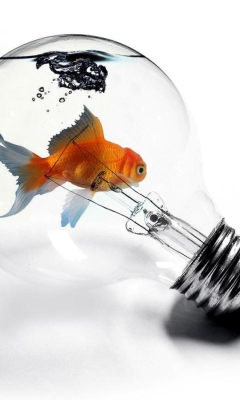 Das Fish In Light Bulb Wallpaper 240x400