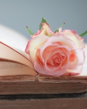 Screenshot №1 pro téma Pink Rose On Vintage Book 128x160