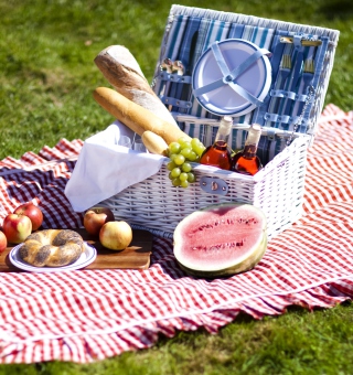 Summer Picnic Picture for iPad 2