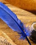 Обои Blue Writing Feather 128x160