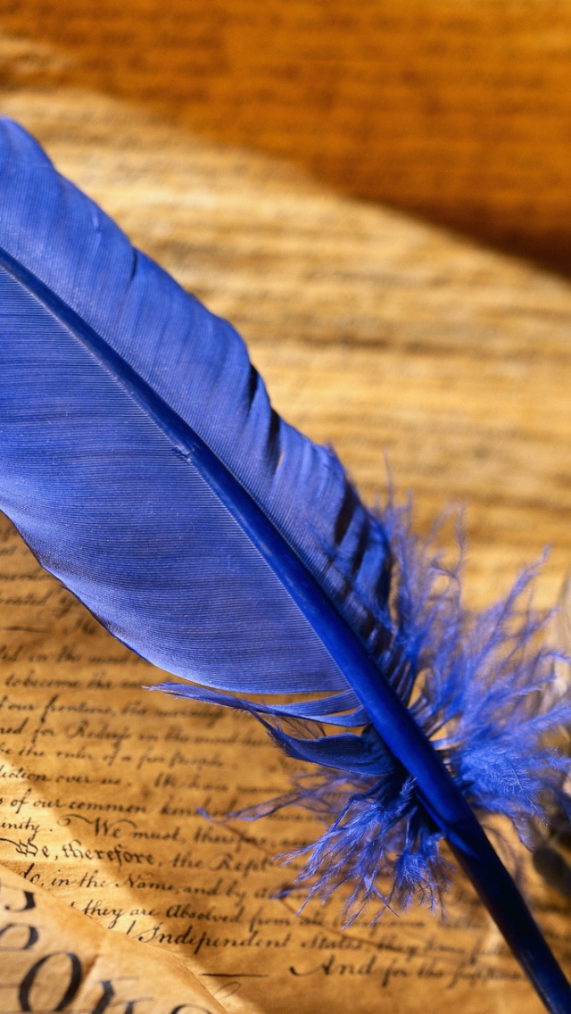 Das Blue Writing Feather Wallpaper 640x1136