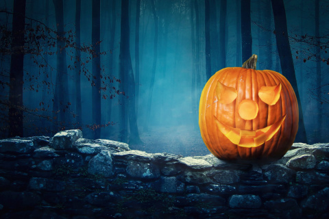 Fondo de pantalla Pumpkin for Halloween 480x320