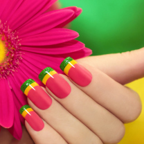 Sfondi Colorful Nails 208x208