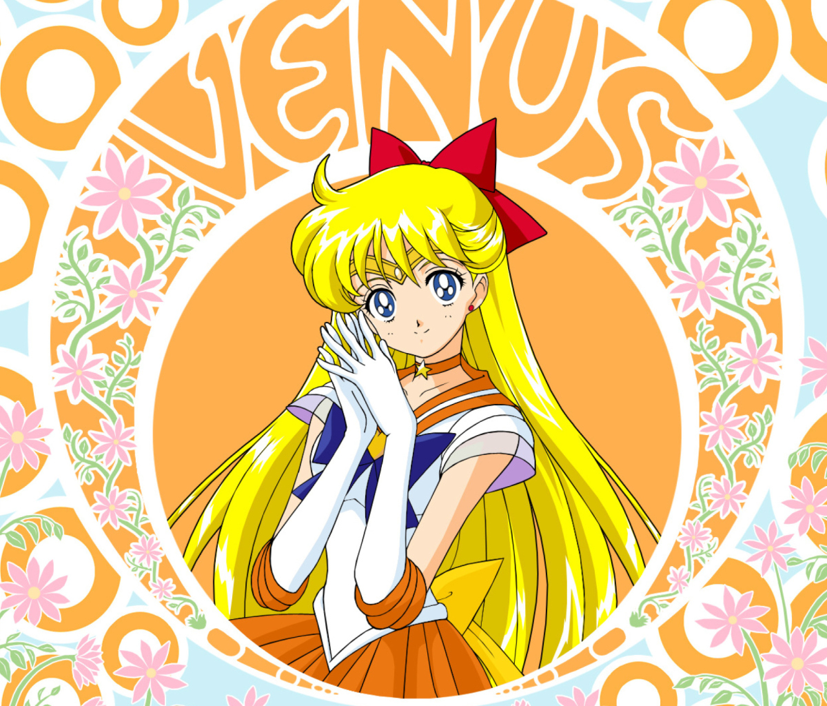Обои Sailor Moon 1200x1024