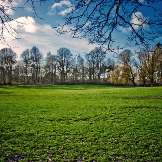 Green Grass In Spring - Obrázkek zdarma pro iPad Air