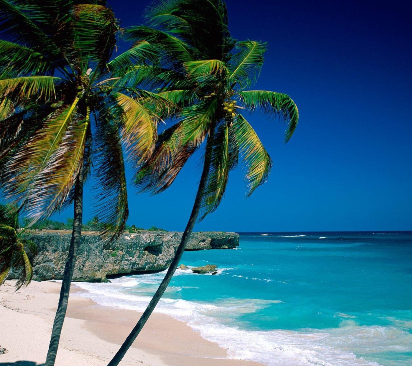 Screenshot №1 pro téma Paradise Beach 1440x1280