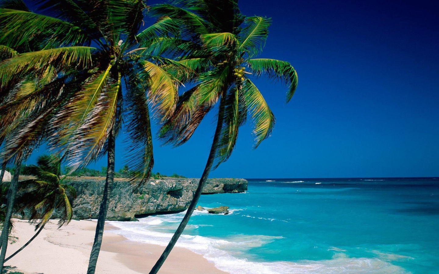 Screenshot №1 pro téma Paradise Beach 1440x900