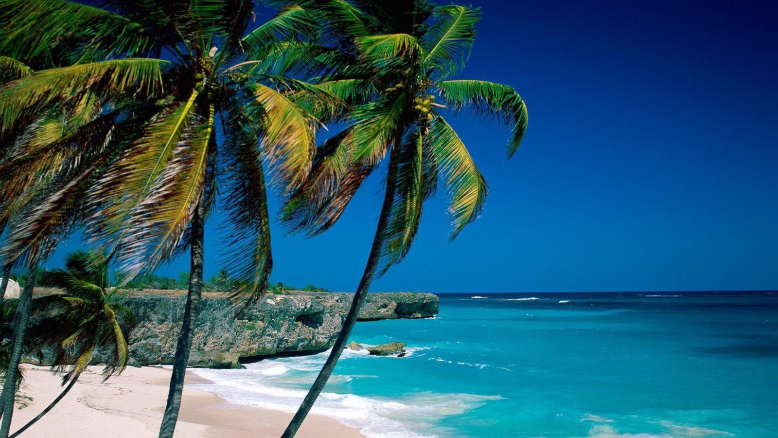 Paradise Beach screenshot #1 1600x900