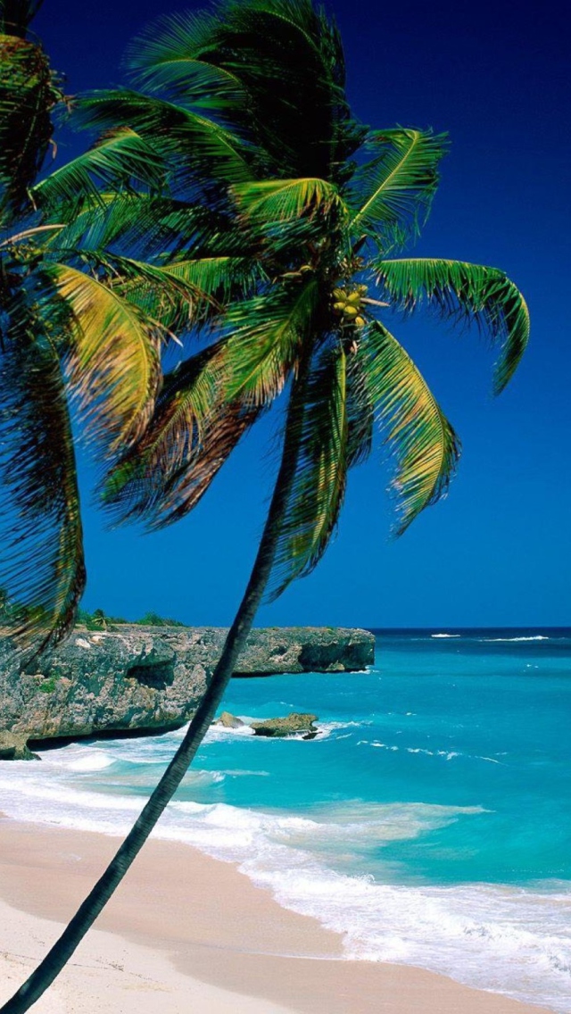 Screenshot №1 pro téma Paradise Beach 640x1136