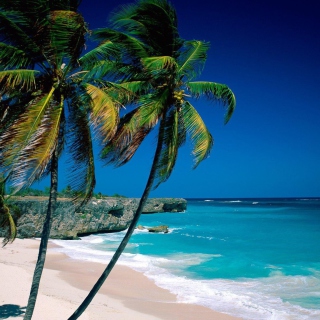 Paradise Beach - Obrázkek zdarma pro iPad 2