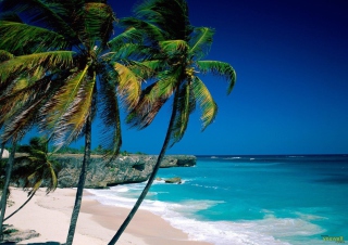 Paradise Beach Background for Android, iPhone and iPad