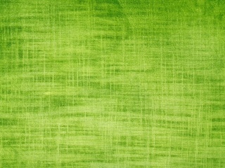 Screenshot №1 pro téma Green Fabric 320x240