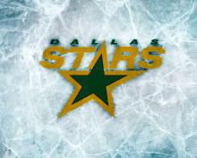 Fondo de pantalla Dallas Stars 220x176