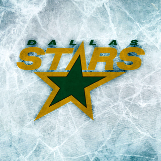 Dallas Stars - Obrázkek zdarma pro iPad mini