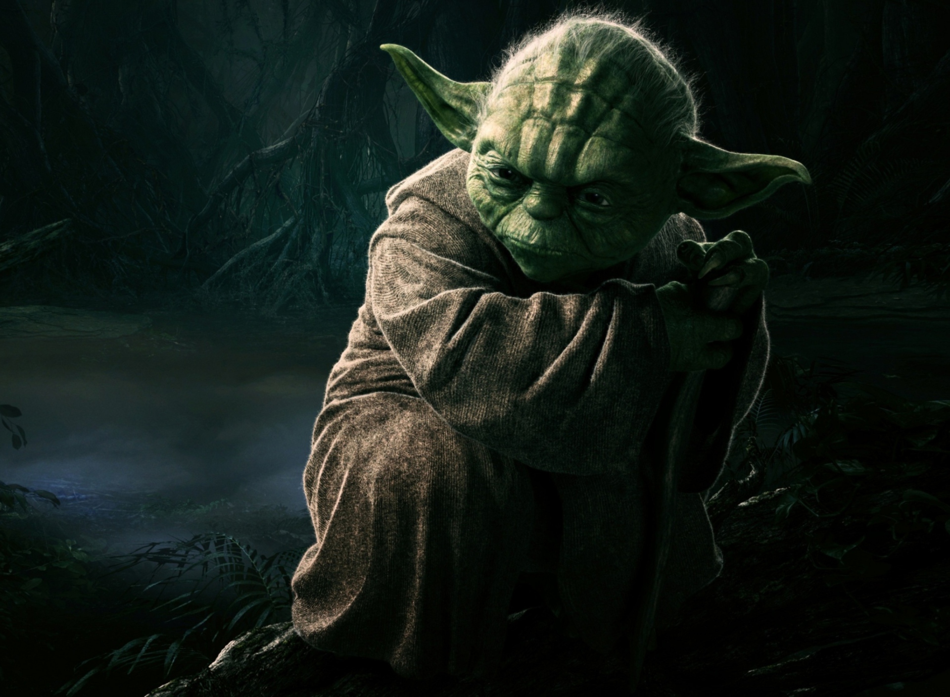 Screenshot №1 pro téma Jedi Master Yoda 1920x1408