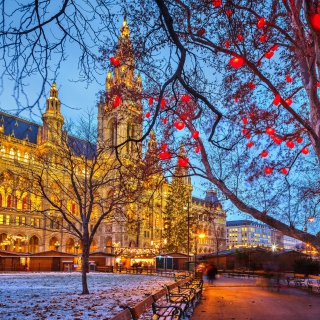 Vienna Town Hall Austria sfondi gratuiti per iPad