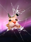 Cat And Broken Glass screenshot #1 132x176