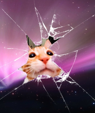 Cat And Broken Glass - Obrázkek zdarma pro iPhone 5C