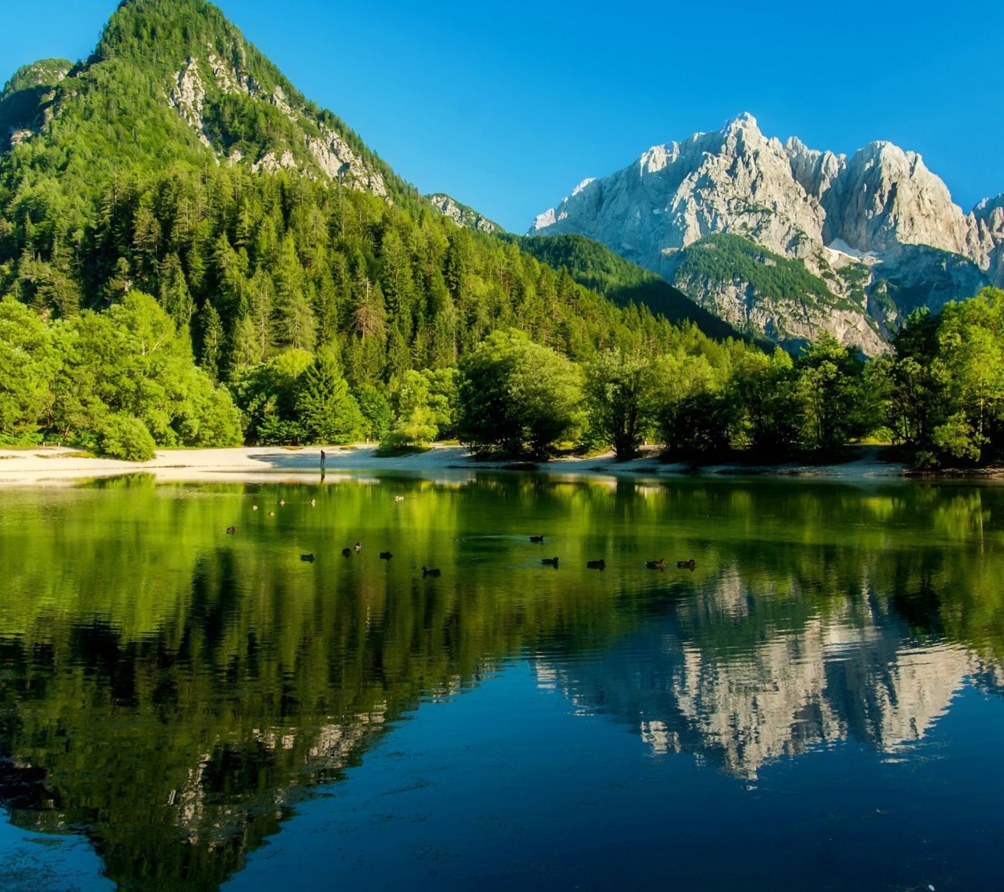 Обои Lake Jasna, Slovenia 1440x1280