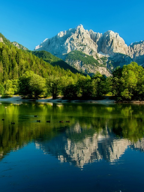 Screenshot №1 pro téma Lake Jasna, Slovenia 480x640