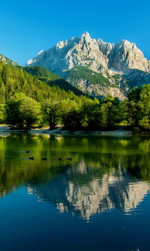Fondo de pantalla Lake Jasna, Slovenia 480x800