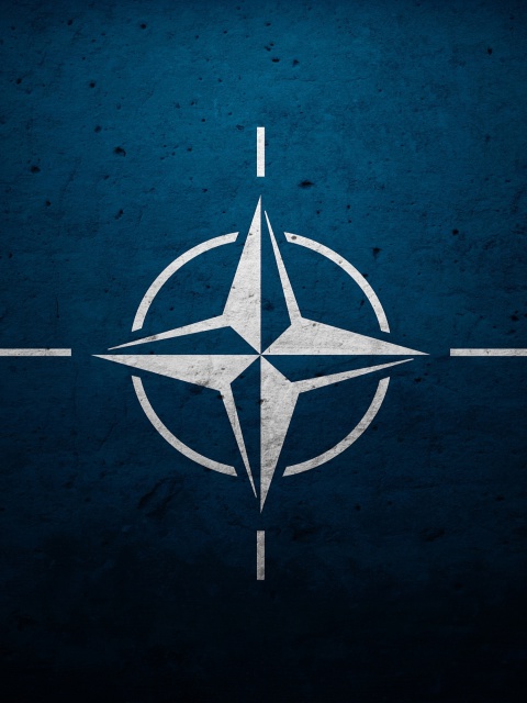 Das Flag of NATO Wallpaper 480x640