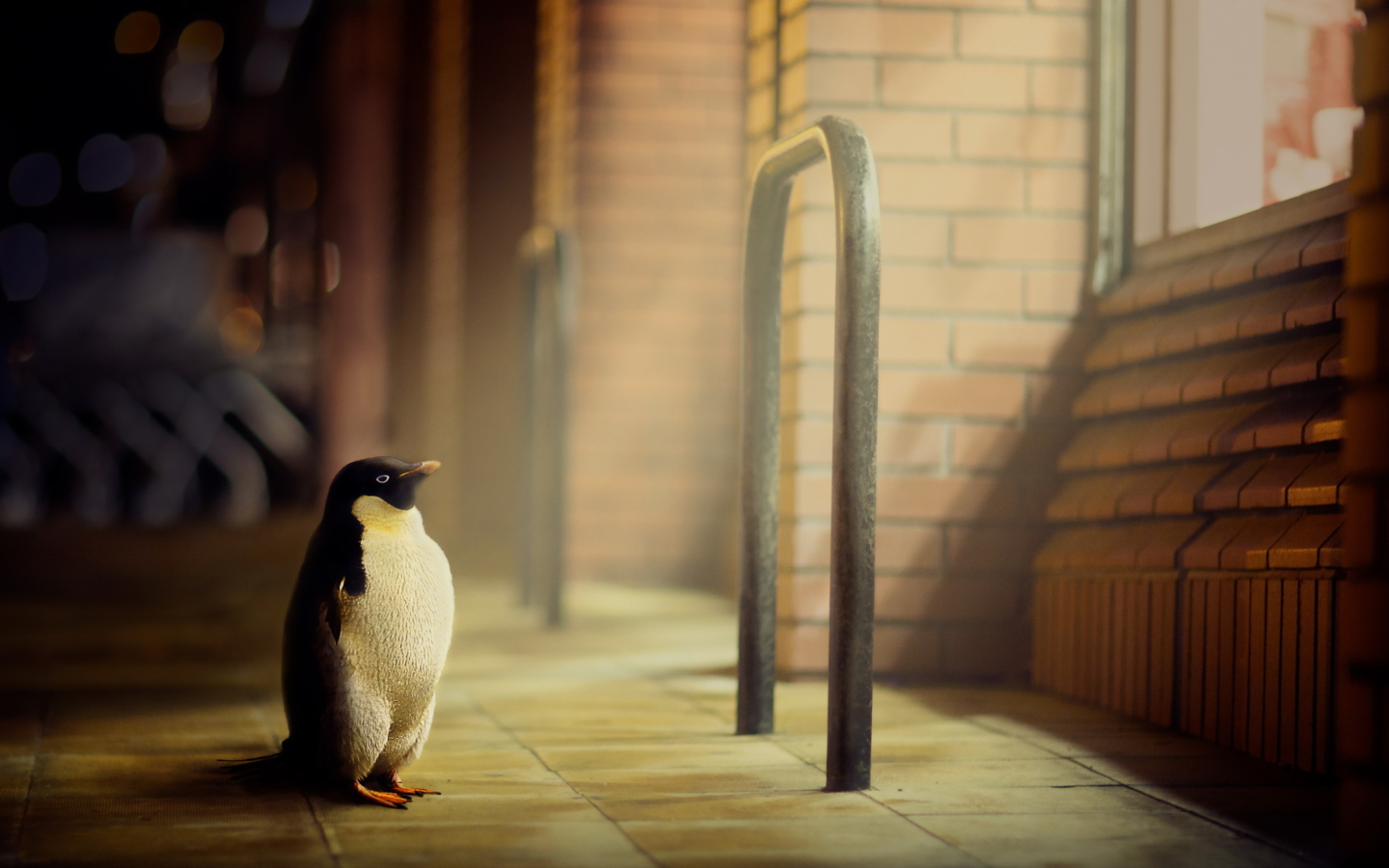 Penguin screenshot #1 1440x900