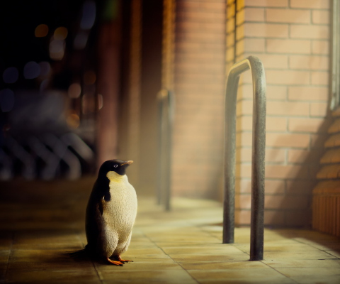 Penguin screenshot #1 480x400