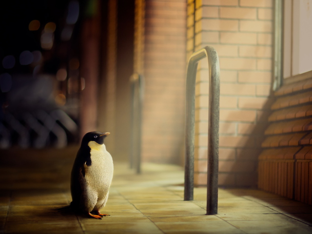 Das Penguin Wallpaper 640x480