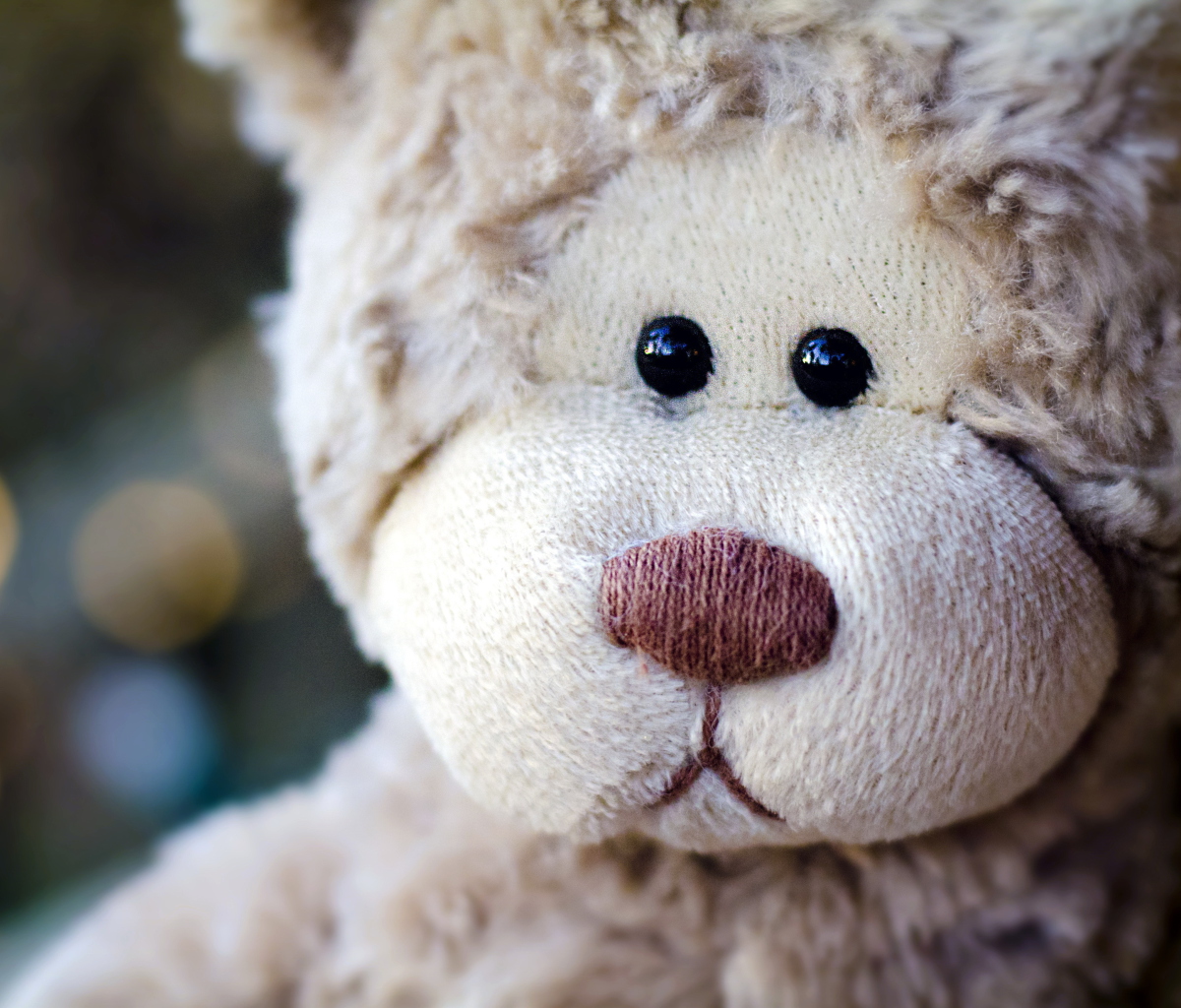 Das Sad Teddy Wallpaper 1200x1024