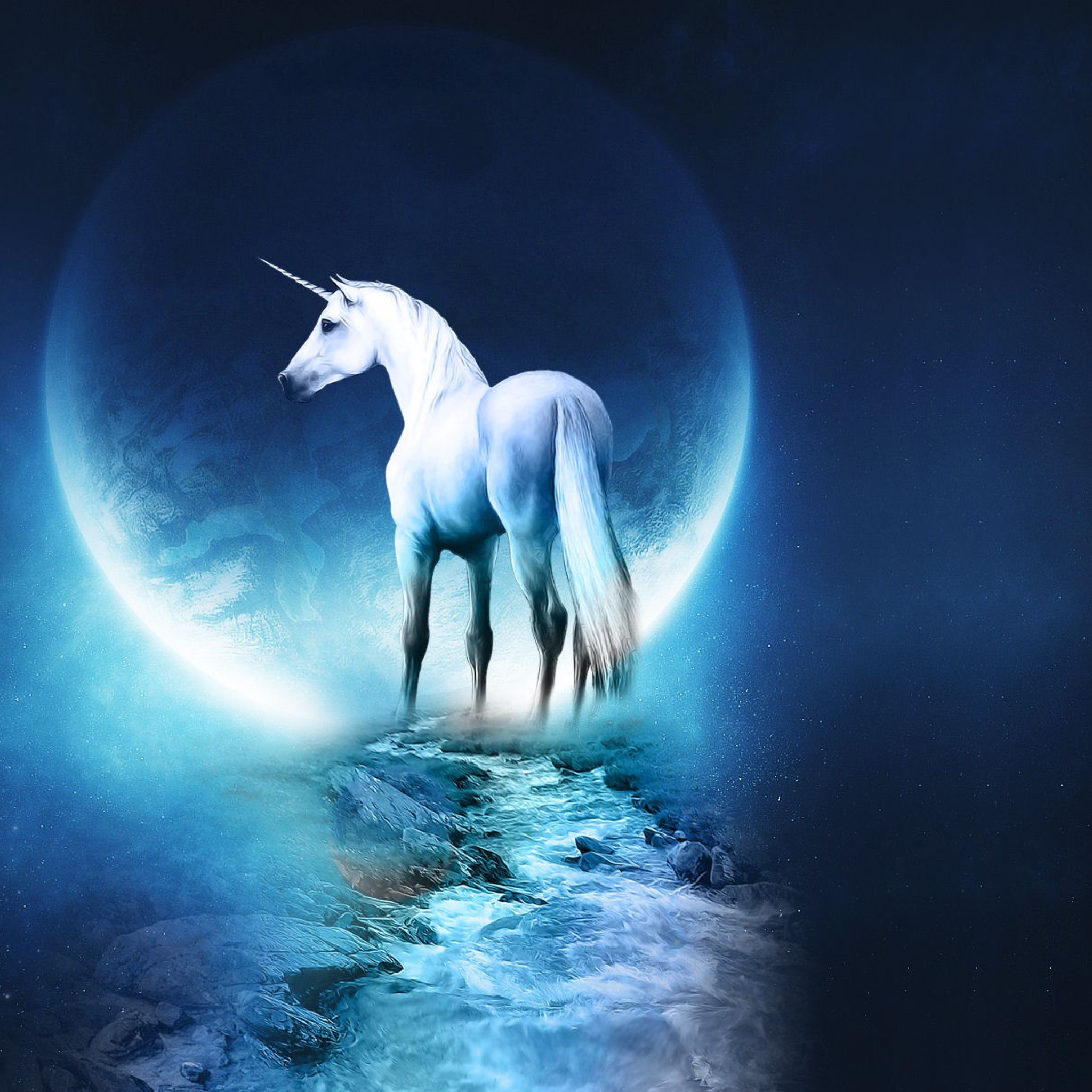 Screenshot №1 pro téma Last Unicorn 2048x2048