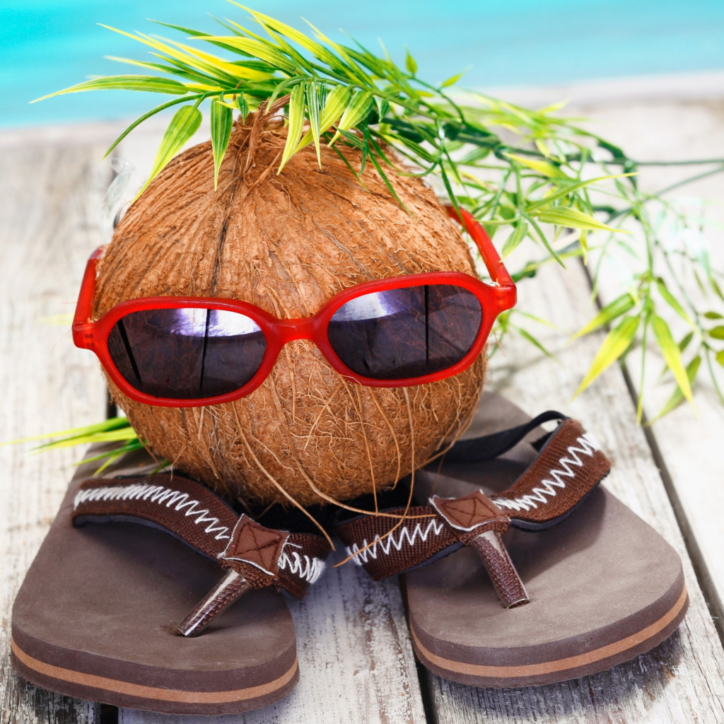 Funny Coconut wallpaper 1024x1024