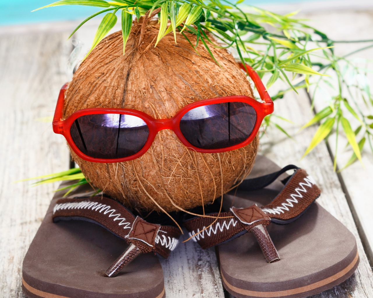 Sfondi Funny Coconut 1280x1024