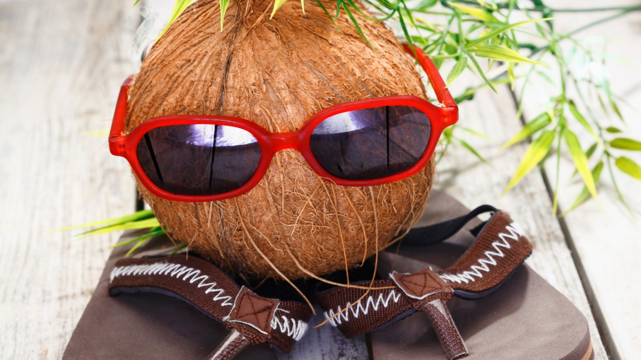 Sfondi Funny Coconut 1280x720