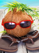 Fondo de pantalla Funny Coconut 132x176