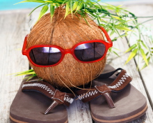 Sfondi Funny Coconut 220x176