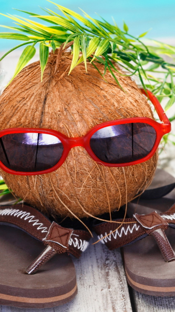 Funny Coconut wallpaper 360x640