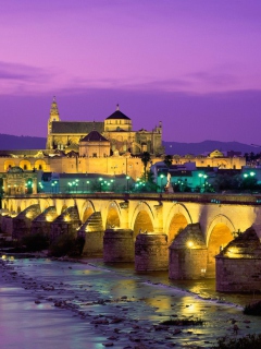 Screenshot №1 pro téma Roman Bridge - Guadalquivir River 240x320