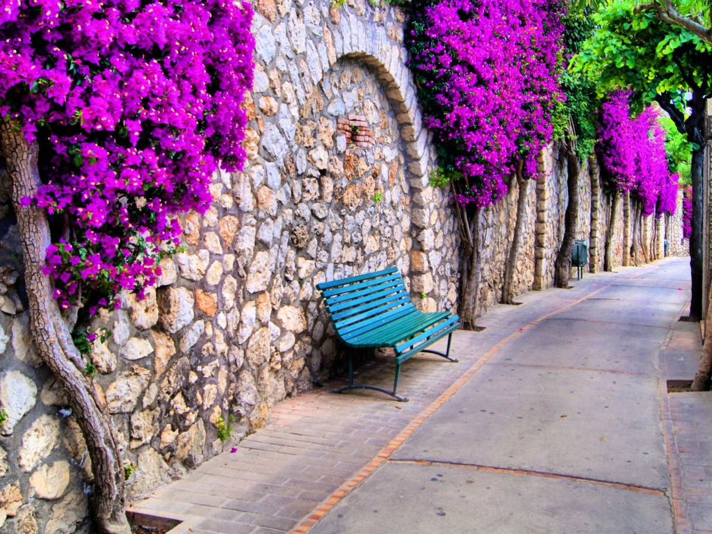 Bench And Purple Flowers wallpaper 1024x768