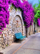 Bench And Purple Flowers wallpaper 132x176